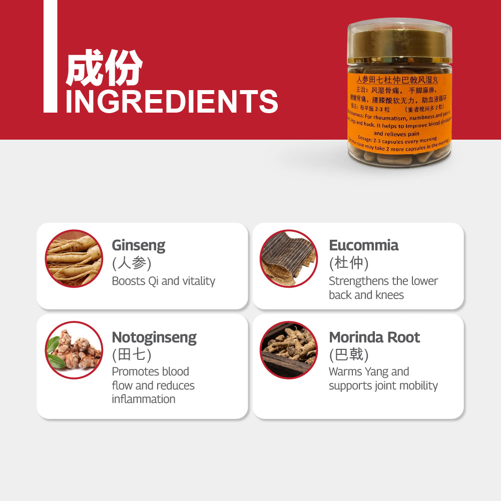 PRE-ORDER GA3 GAC Joint & Tendon Wellness Supplement